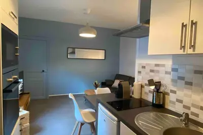 Cuisine ou kitchenette dans l'établissement Studio cocooning desjardins