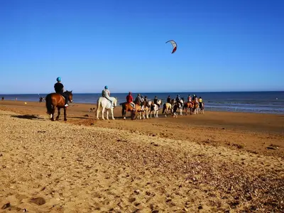 Animaux dans la maison de vacances ou à proximité