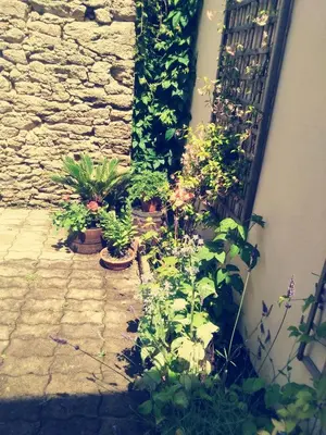 Jardin de l'établissement Les Tournesols