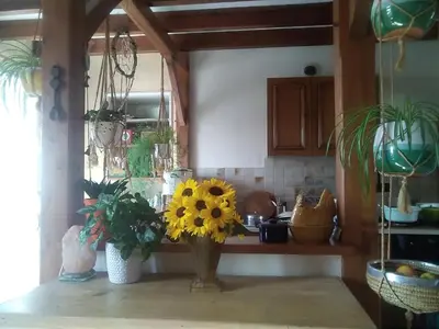 Cuisine ou kitchenette dans l'établissement Les Tournesols