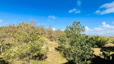 Paysage naturel près de l'appartement