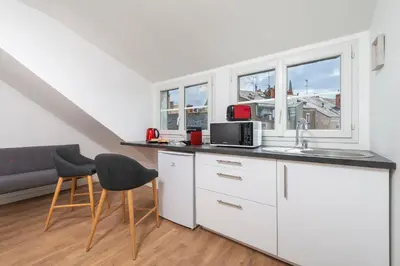Cuisine ou kitchenette dans l'établissement Hyper Centre 16 rue Valdemaine
