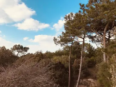 Paysage naturel près de la maison de vacances