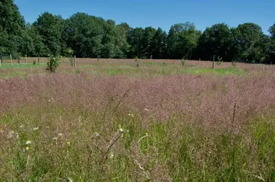 Paysage naturel près de la maison de vacances