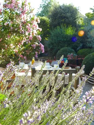 Jardin de l'établissement La Blanchisserie