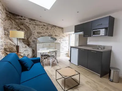 Cuisine ou kitchenette dans l'établissement Studio rénové avec terrasse privée en bord de Sèvre - Mortagne-sur-Sèvre - FR-1-426-484