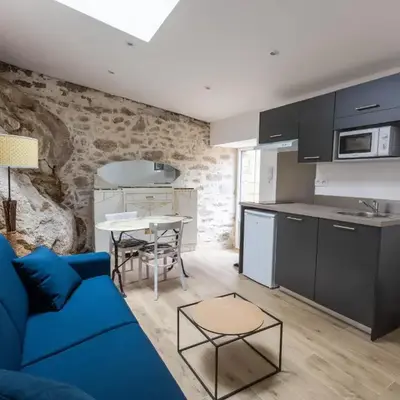 Studio rénové avec terrasse privée en bord de Sèvre - Mortagne-sur-Sèvre - FR-1-426-484