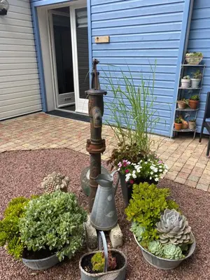 Jardin de l'établissement Le Clos des Chênes