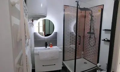 Salle de bains dans l'établissement Appartement Hypercentre Calme proche Centre des Congrès
