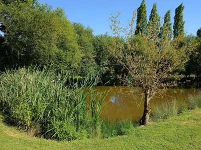 Paysage naturel près de la maison d'hôtes