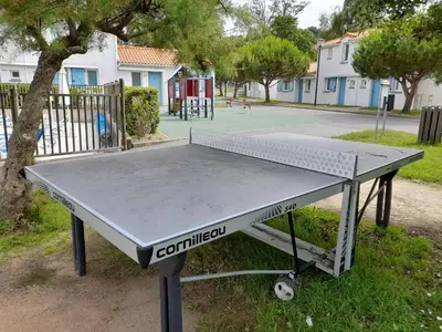 Tennis de table au sein de l'établissement Maison 4-6 personnes ou à proximité