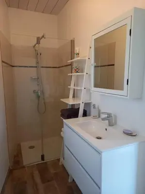 Salle de bains dans l'établissement Lac Grand Lieu : maisonnette au calme avec jardin