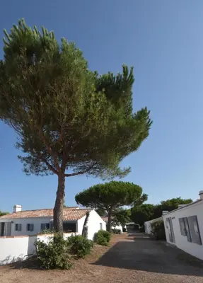 Bâtiment de la maison de vacances