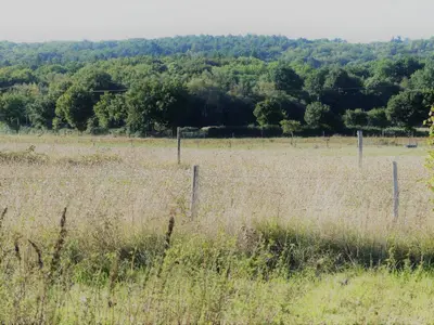 Paysage naturel près de la maison de vacances