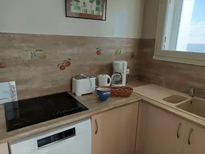 Cuisine ou kitchenette dans l'établissement Appartement vue mer à Notre-Dame-de-Monts - 5 personnes, animaux - FR-1-540-147
