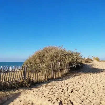 Appartement Familial Proche Plage et Forêt avec Parking Privé - FR-1-652-4
