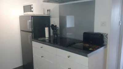 Cuisine ou kitchenette dans l'établissement Gîte avec piscine ,près de Chantonnay
