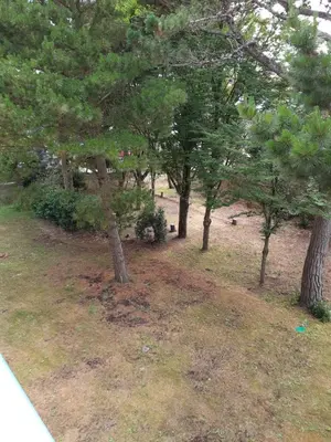 Jardin de l'établissement APPARTEMENT AU CALME AVEC PISCINE ET PARKING dans résidence securisée