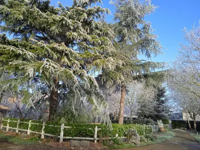 Jardin de l'établissement Les Clés du Parc