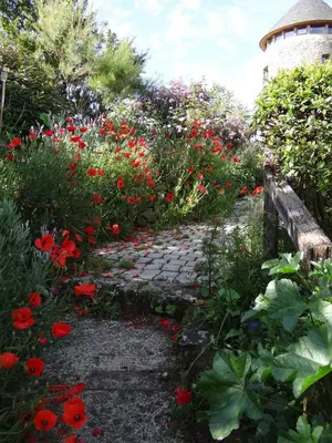 Jardin de l'établissement La Tour du Moulin Géant
