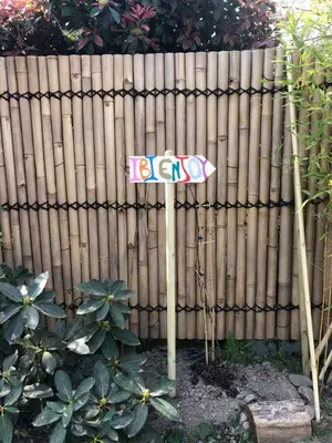 Plan de l'établissement IBI ENJOY
