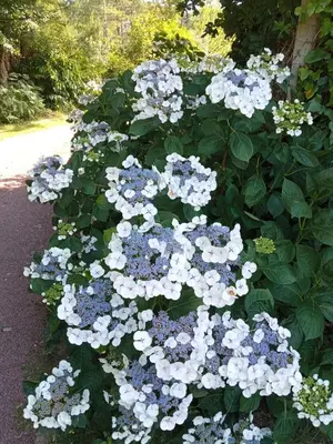 Jardin de l'établissement Gîte 2 personnes, proche mer