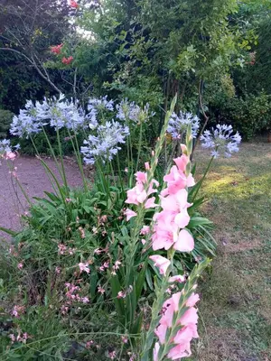 Jardin de l'établissement Gîte 2 personnes, proche mer