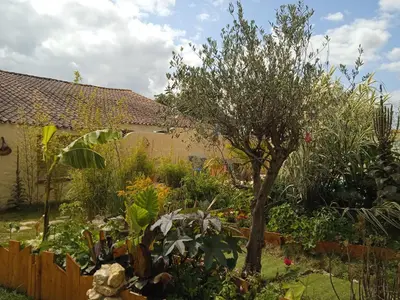 Jardin de l'établissement G1 les oliviers