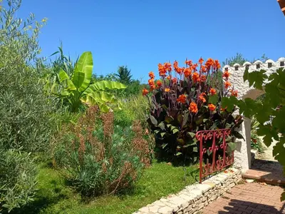 Jardin de l'établissement G1 les oliviers