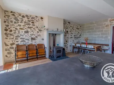 Coin salon dans l'établissement Maison Authentique sur 3 Niveaux avec Terrasse et Vue Loire - FR-1-622-38