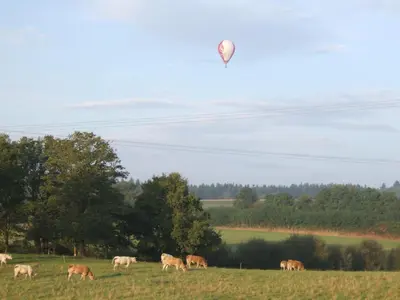 Animaux dans la maison de vacances ou à proximité