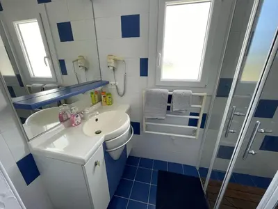 Salle de bains dans l'établissement Maison climatisée, 2 gîtes, 2 chambres, 15 hectares, loisirs, animaux acceptés - FR-1-426-520