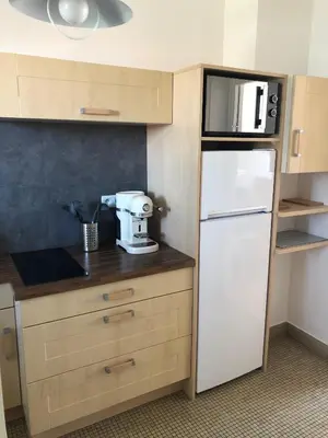 Cuisine ou kitchenette dans l'établissement DEMOISELLES - Appartement 1 chambre