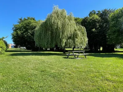 Jardin de l'établissement L'orée du parc