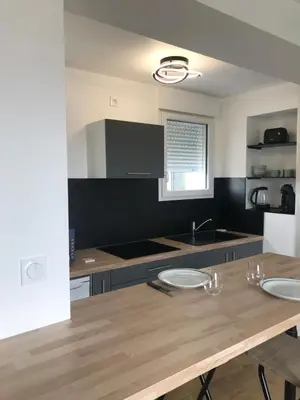 Cuisine ou kitchenette dans l'établissement STUDIO A 20 MIN DU PUY DU FOU