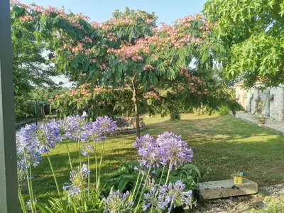 Jardin de l'établissement chambres d'hôtes 
