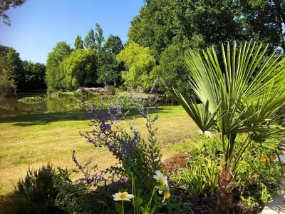 Jardin de l'établissement Maison charmante avec piscine privée à Saint-Georges-de-PointindouxC