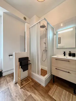 Salle de bains dans l'établissement Bel appartement proche gare, centre ville d'Angers