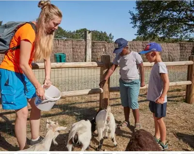 Animaux dans le camping ou à proximité