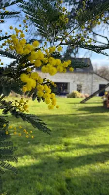 Jardin de l'établissement La grange d'Elise