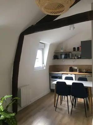 Cuisine ou kitchenette dans l'établissement Appartement en cœur de ville