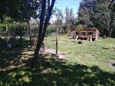 Jardin de l'établissement Gite Les Fées - 6 Personnes maxi