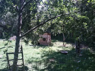 Jardin de l'établissement Gite Les Fées - 6 Personnes maxi