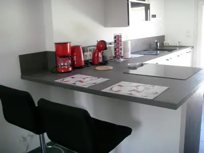 Cuisine ou kitchenette dans l'établissement studio rénové