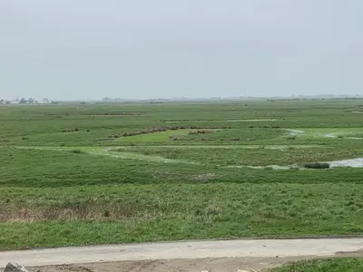 Paysage naturel près de la maison de vacances