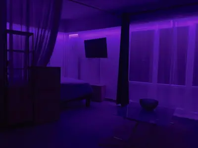 Télévision ou salle de divertissement dans l'établissement T1 bis cosy et spacieux - wifi - parking gratuit