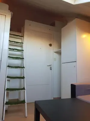 Plan de l'établissement Petit studio la madeleine