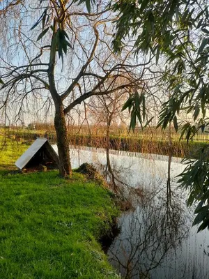 Paysage naturel près de l'appartement