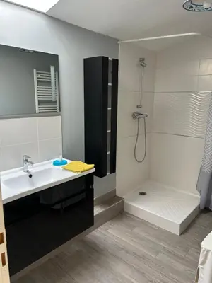 Salle de bains dans l'établissement Gite de la Sèvre