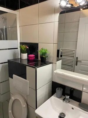 Salle de bains dans l'établissement Joli nid douillet